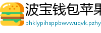 波宝钱包苹果版下载